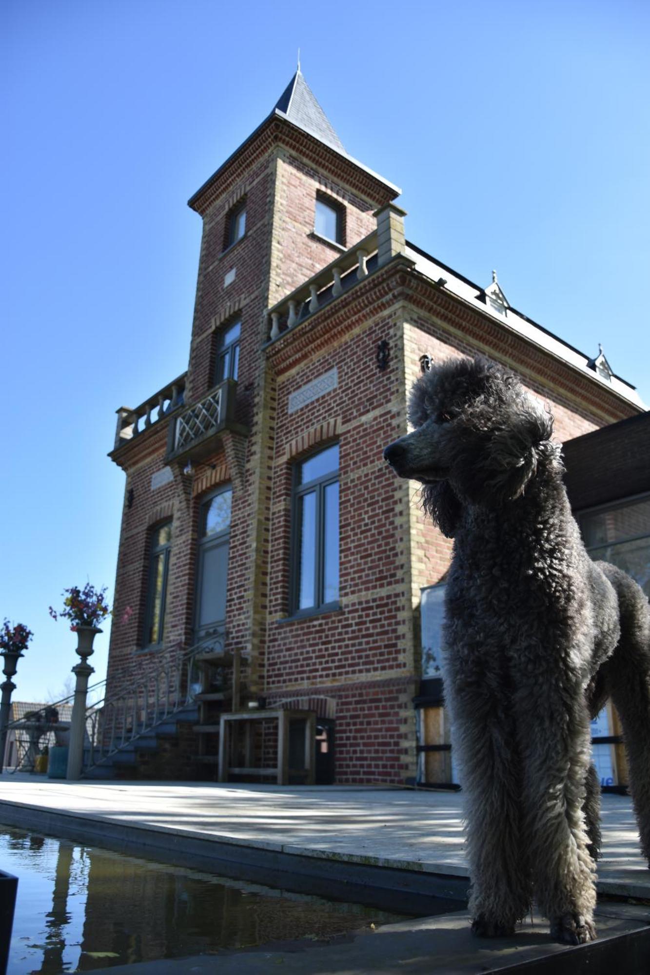 Bed and Breakfast Terp Poperinge Exterior foto